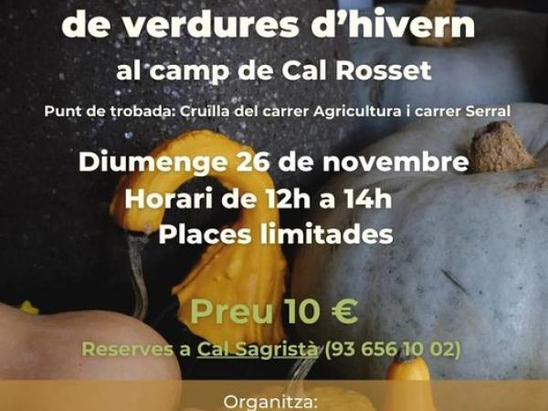 Visita i tastet de verdures d'hivern al camp de Cal Rosset