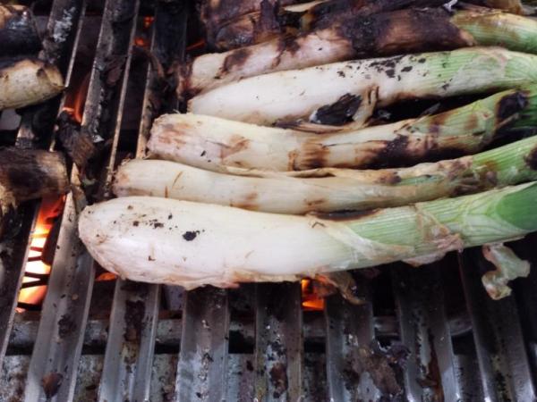 Calçots