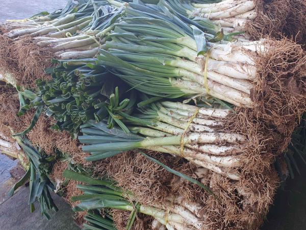 Diumenges de calçots