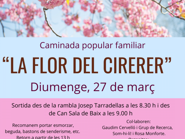 Caminada popular familiar "La flor del cirerer"