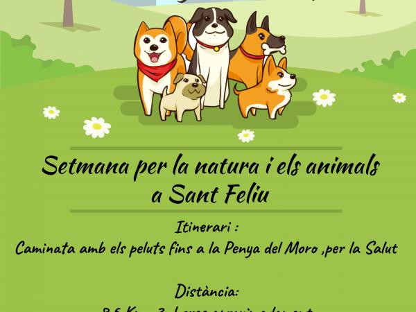 Caminata cartell.jpg