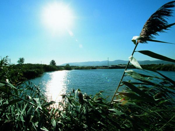 Passejada a les basses de Can Dimoni