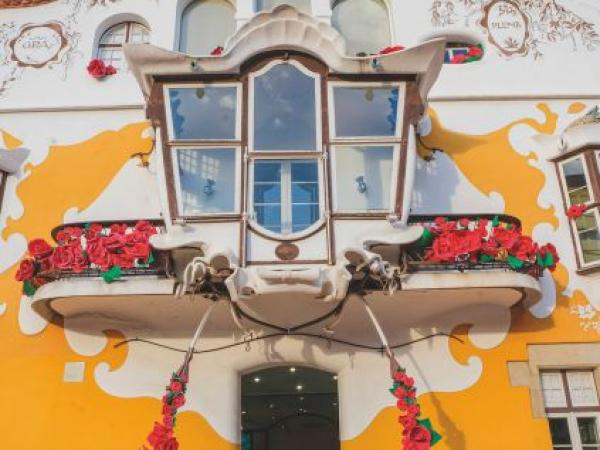 Instal·lació artística de roses a Can Negre