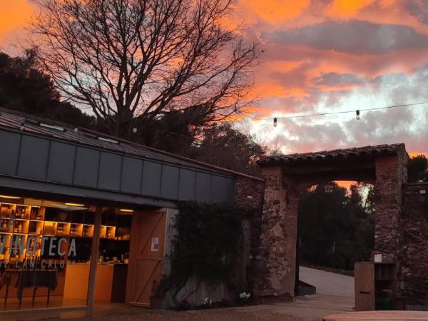 Una masia, unes vinyes sota les estrelles