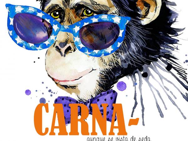 BALL I CONCURS DISFRESSES INFANTIL