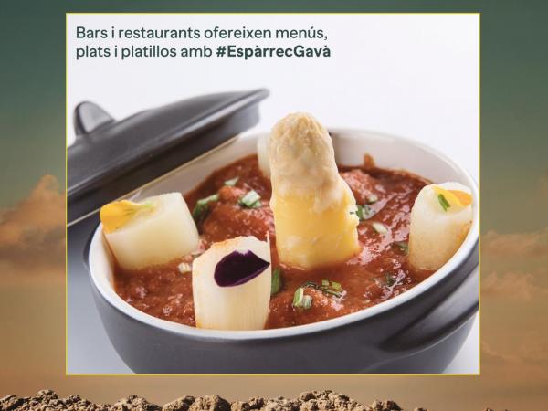 Espàrrecs a la Carta / GastroGavà Fira
