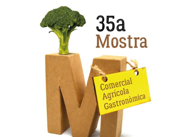 Cartell 35 Mostra Festa Major d'Hivern.jpg