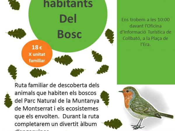 cartell activitats standard.jpg