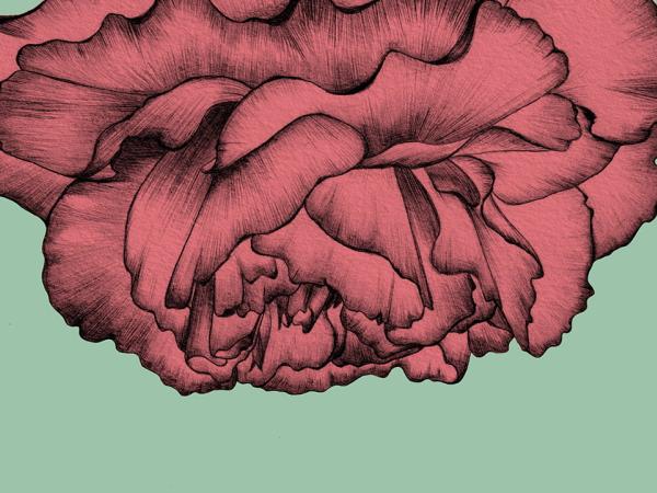 Acte Institucional del Dia d’Andalusia