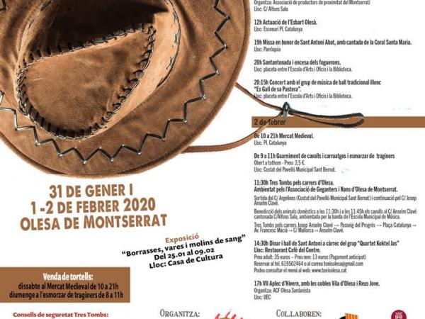 Cartell i programa Tonis 2020 JPG.jpg