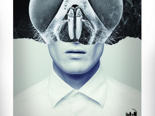 Cartell Molins2016 petit.jpg