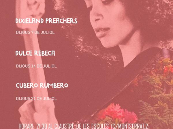 Nits de Música amb els Tallers de Música