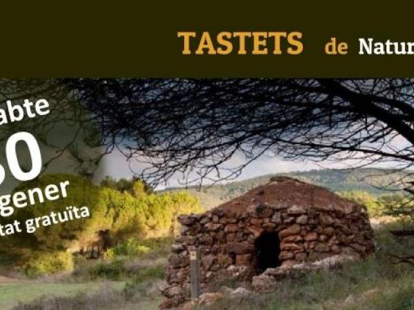Cartell Tastets Begues1.jpg