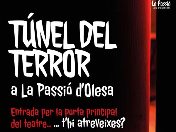Túnel del terror