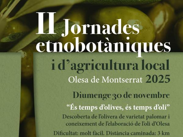 Sortida: És temps d'olives, és temps d'oli