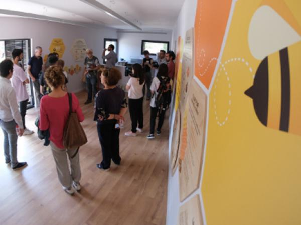 casa de les abelles.jpg