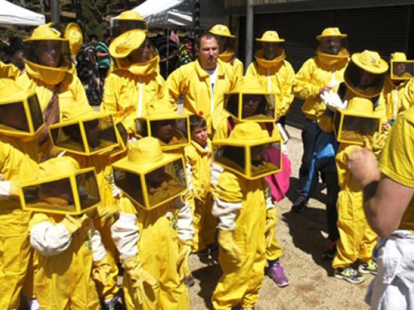 Casa de les Abelles_newsletter.jpg