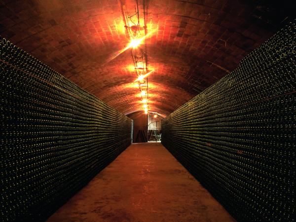 VISITA CELLER I MUSEU DEL VI I DEL CAVA RAMON CANALS