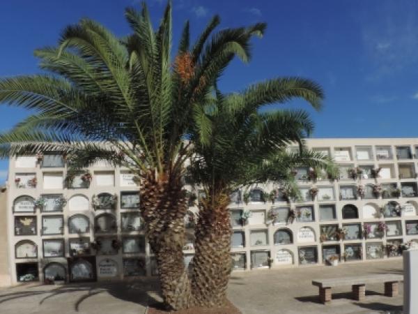 cementiri viladecans.jpg