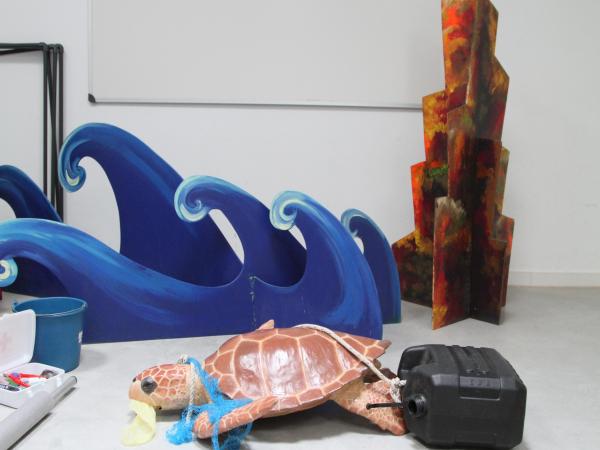 COM ES RESCATA UNA TORTUGA MARINA? 