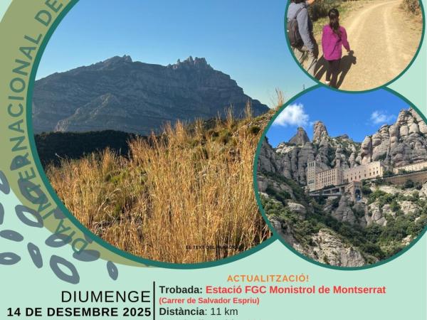 IX Marxa a peu al Monestir de Montserrat