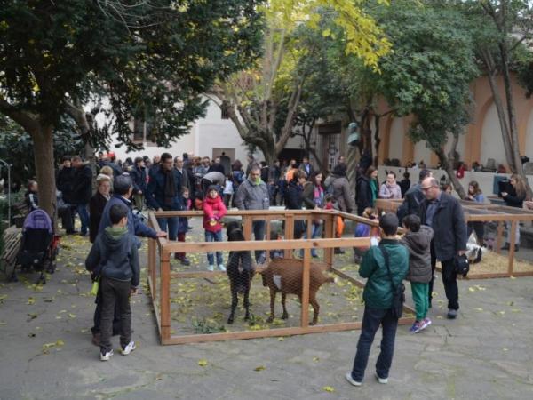 corral nadalenc .jpg