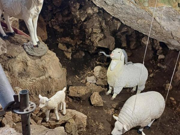 Per a què servia una cova a la Prehistòria? Jornada de portes obertes