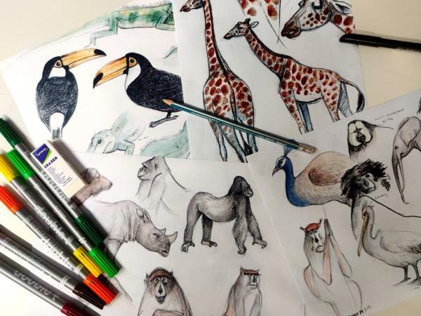 CreArt: Dibuixos naturalistes inspirats en l'obra de Jordi Sabater i Pi