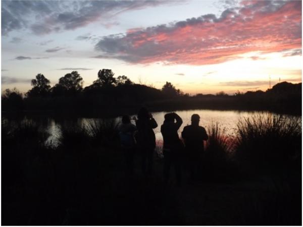 EL CREPUSCLE AL DELTA