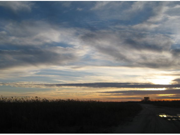 El crepuscle al Delta (Espais Naturals del Riu)