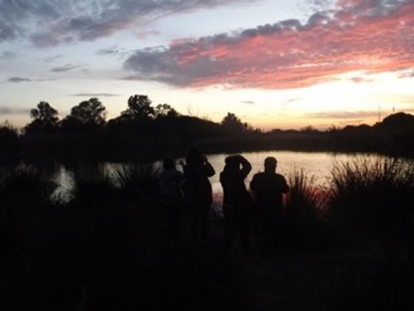 El Crepuscle al Delta