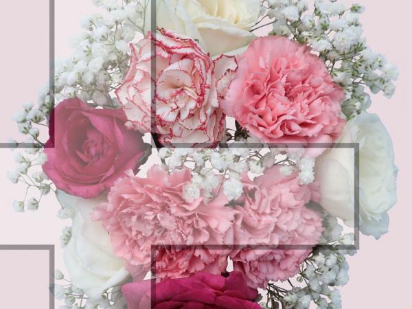 39ª edició de la Cruz de Mayo