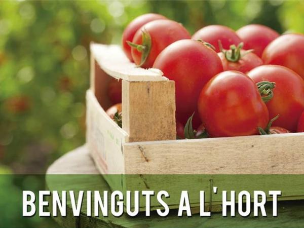 Curs el Jardí i Hort ecològic