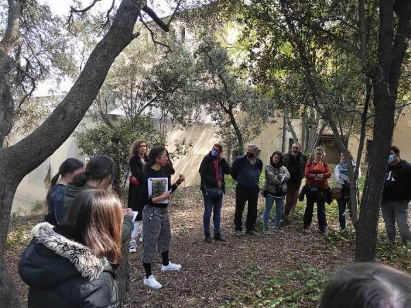 De l’arbre al moble