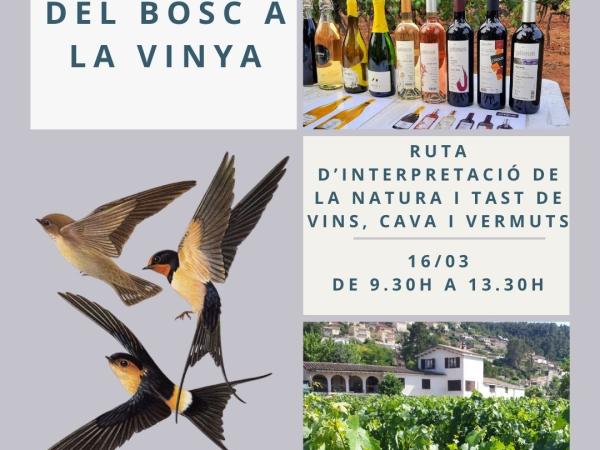 Del Bosc a la Vinya: Ruta d’interpretació de la natura i tast de vins