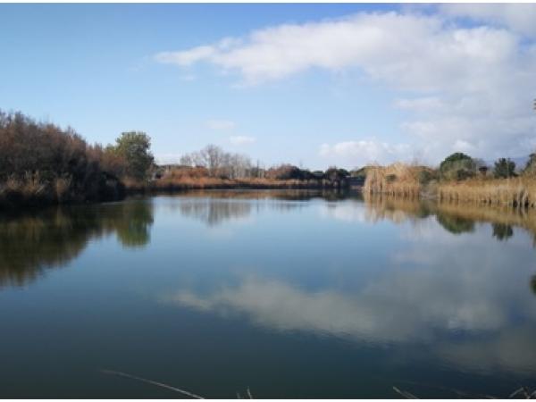 Dia Mundial dels Ocells a l’Espai Natural del Remolar-Filipines 