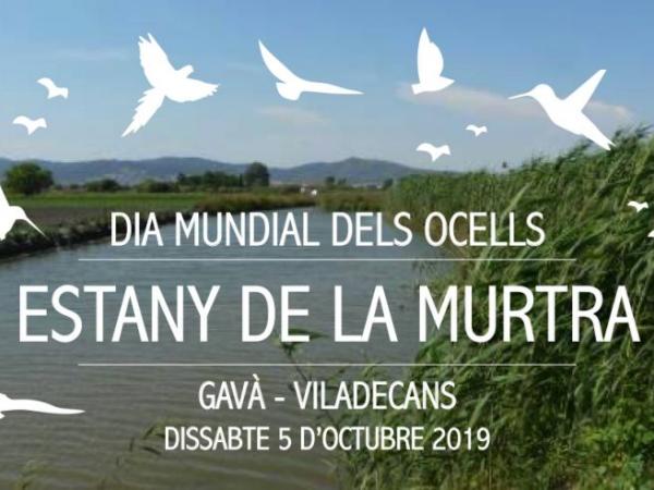 DIA MUNDIAL DELS OCELLS. ESTANY DE LA MURTRA