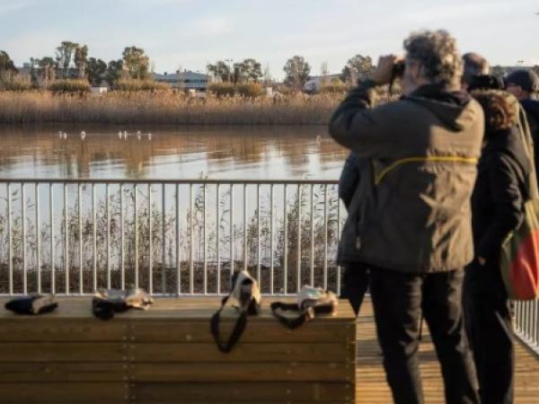 Dia Mundial dels Ocells als Espais Naturals del Riu