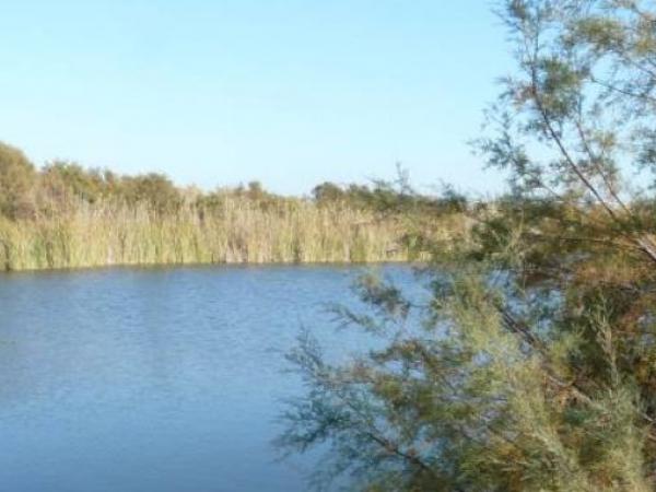 Dia mundial ocells Can Dimoni