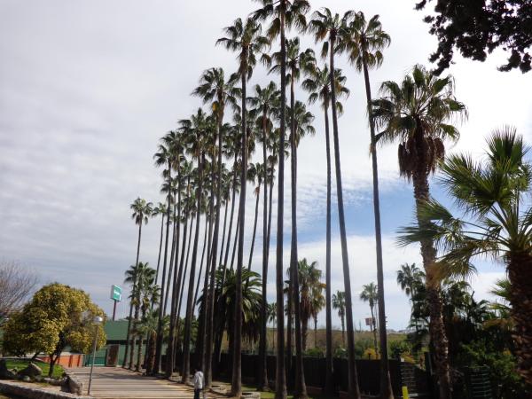 El Parc de Can Mercader. Una passejada pel jardí romàntic.
