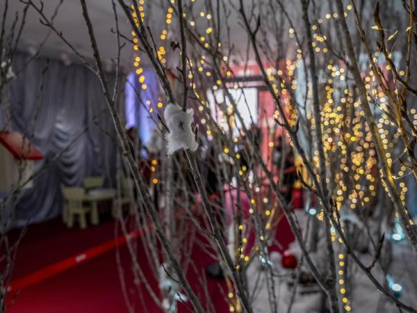 Entrega les teves cartes als Reis Mags al Splau!