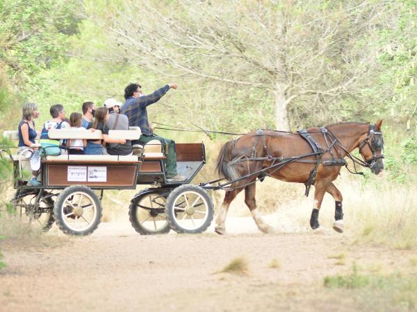 PELS BOSCOS DEL BAIX EN CARRUATGE