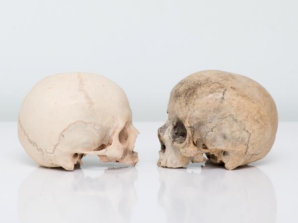 DSC_4726_1500taller ossos.jpg