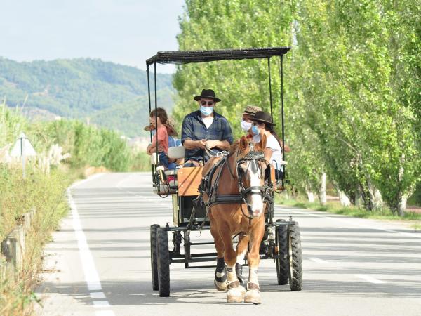 matins i capvespres a pagès