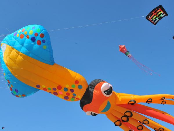 Estels Per La Pau 2021 