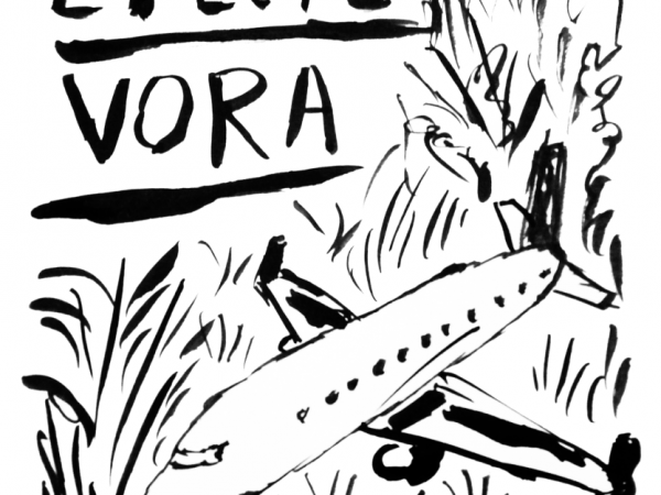 efecte vora_graf.png