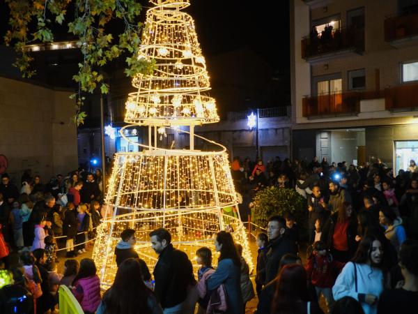 Encesa de l'arbre de Nadal