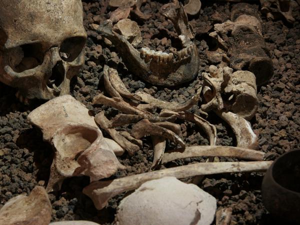 Enterrament fig 10 J casanova.jpg