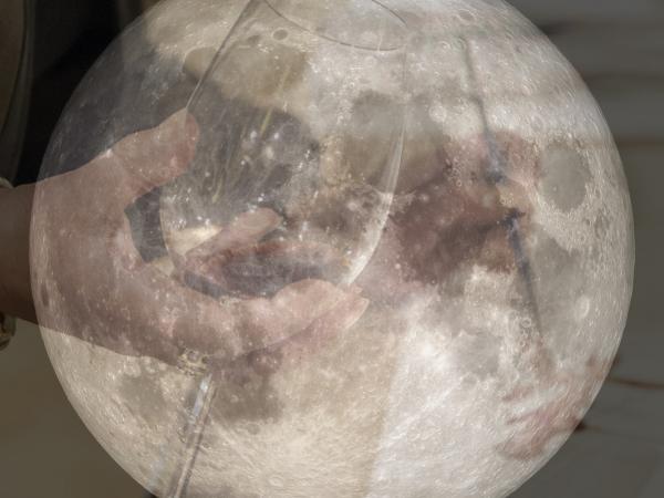 Fora d'Ôrbita i Tinta i Vi