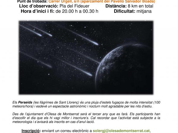 Excursió nocturna d'observació astronòmica